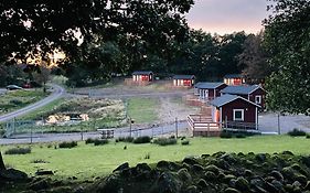 Ulvereds Hjorthägn - Camp Mayfly